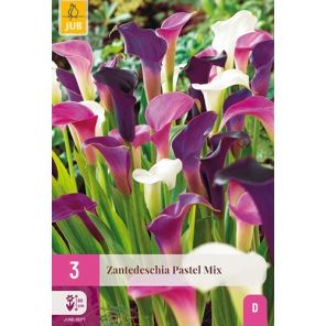 Zantedeschia Pastel Mix.jpg